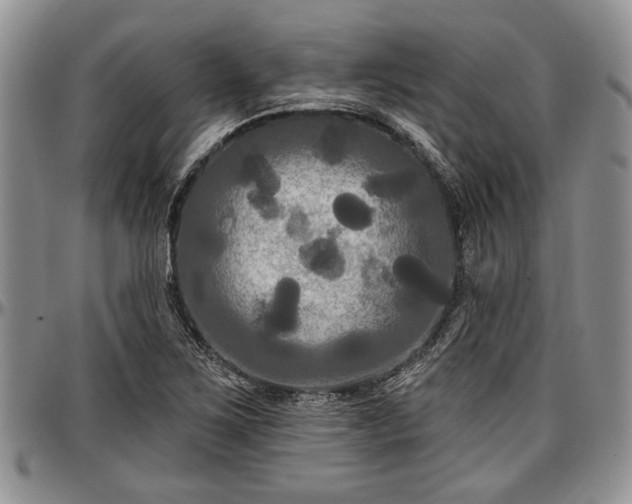 X0000097491267200802291423