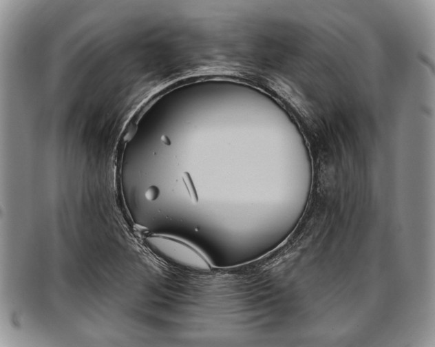 X0000097491268200802291423