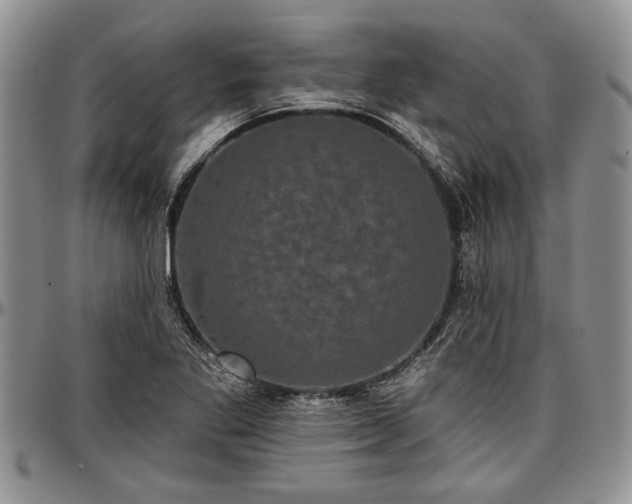 X0000097491269200802291423