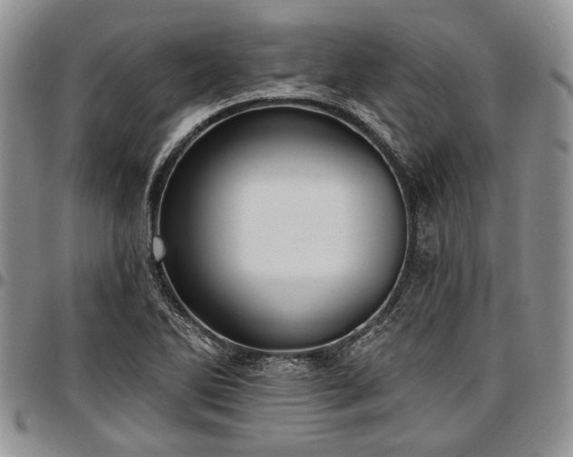 X0000097491270200802291423