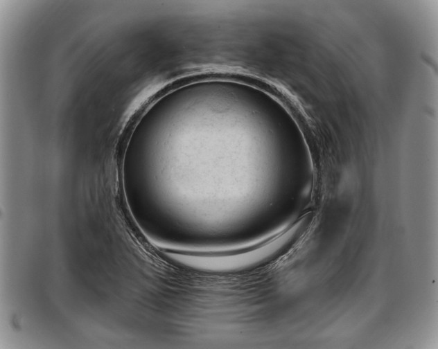 X0000097491271200802291423