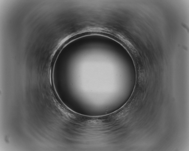 X0000097491272200802291423