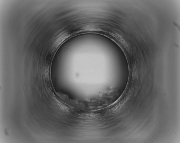 X0000097491273200802291423