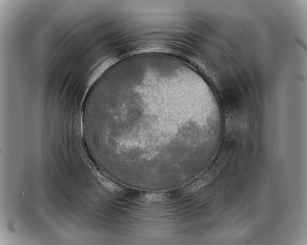 X0000097491274200802291423