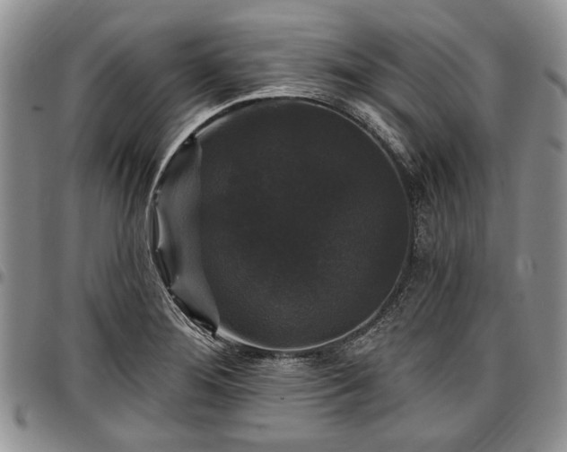 X0000097491276200802291423