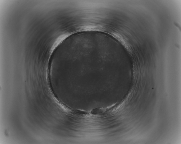 X0000097491277200802291423