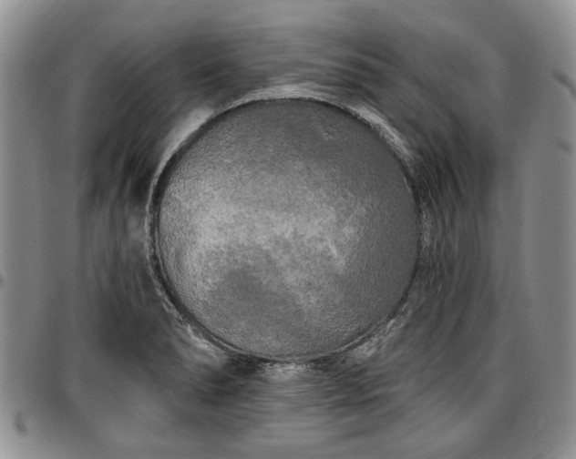 X0000097491278200802291423