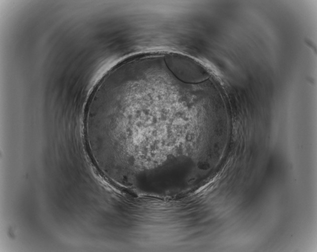 X0000097491279200802291423