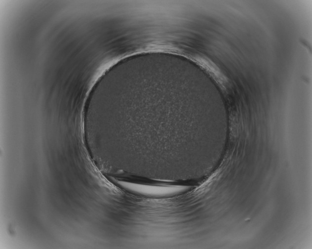 X0000097491280200802291423