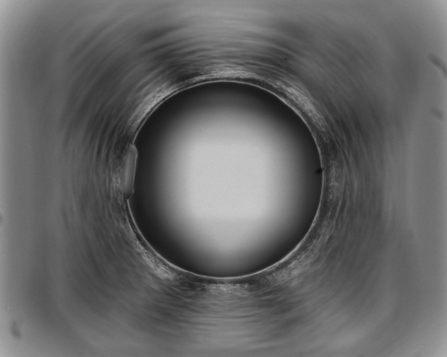 X0000097491281200802291423