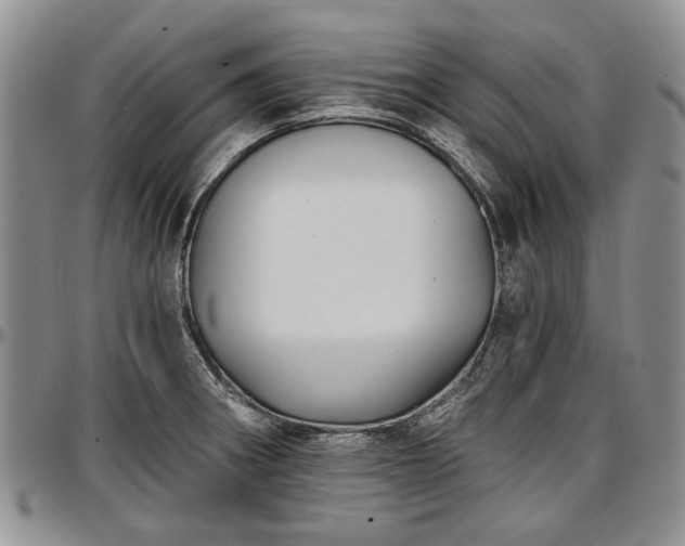 X0000097491282200802291423