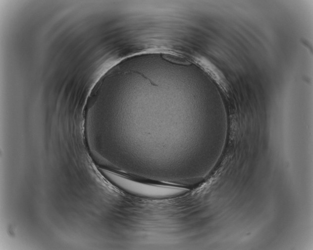 X0000097491284200802291423