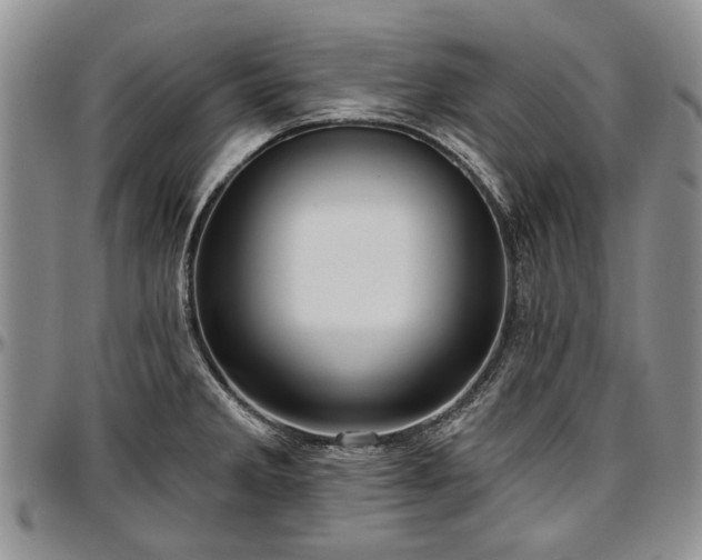 X0000097491285200802291423