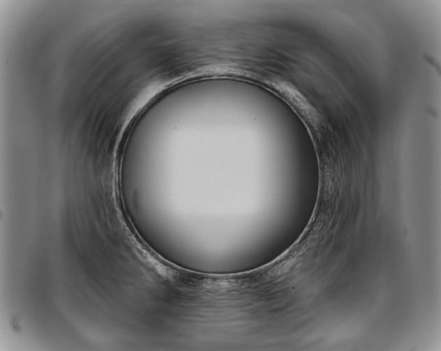 X0000097491286200802291423