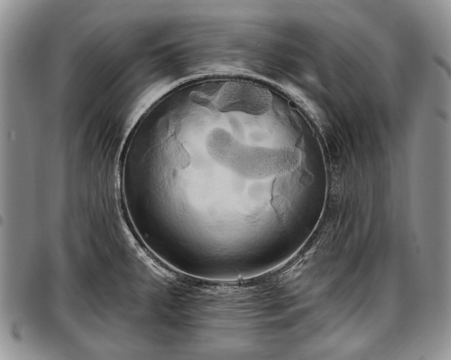 X0000097491287200802291423