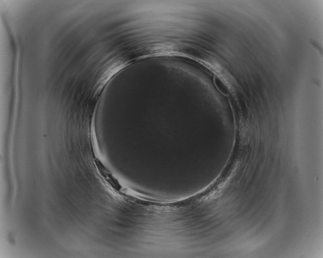 X0000097491289200802291423