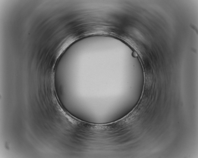 X0000097491290200802291423