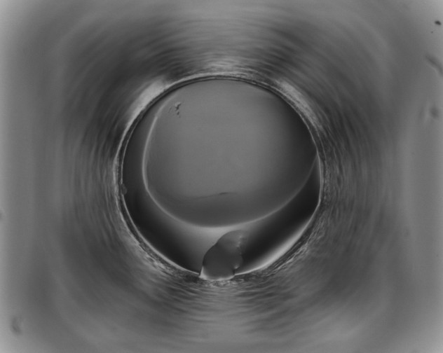 X0000097491291200802291422