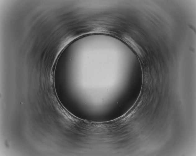 X0000097491292200802291422