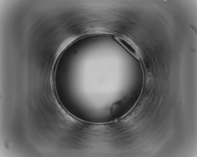 X0000097491293200802291422