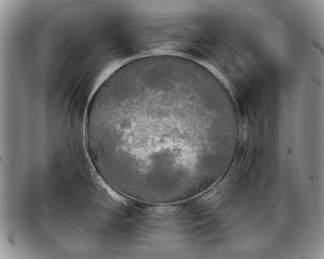 X0000097491294200802291422