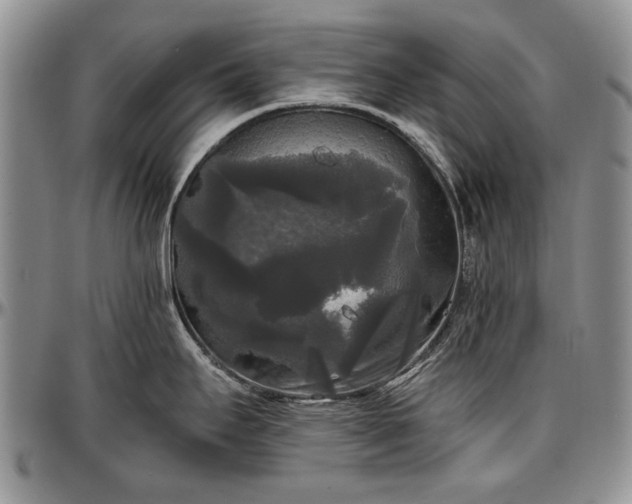 X0000097491295200802291422