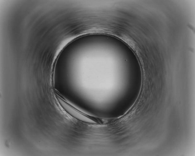 X0000097491296200802291422