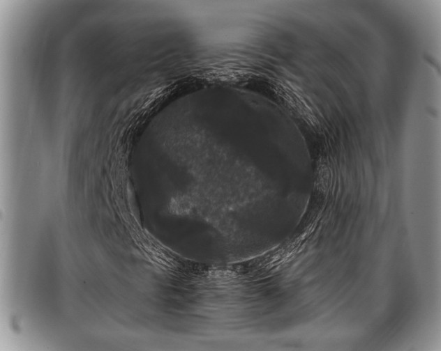 X0000097491297200802291422