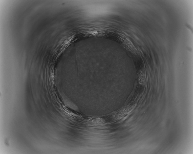 X0000097491298200802291422