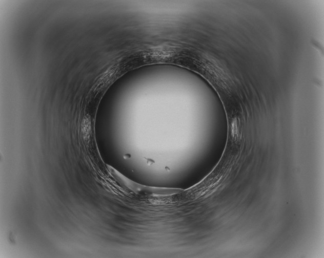 X0000097491299200802291422