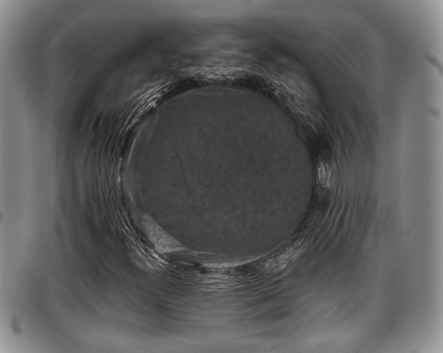 X0000097491300200802291422