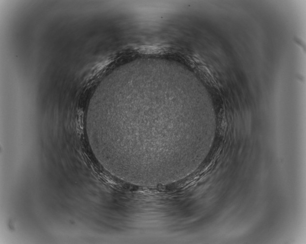 X0000097491301200802291422