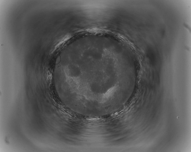 X0000097491302200802291422