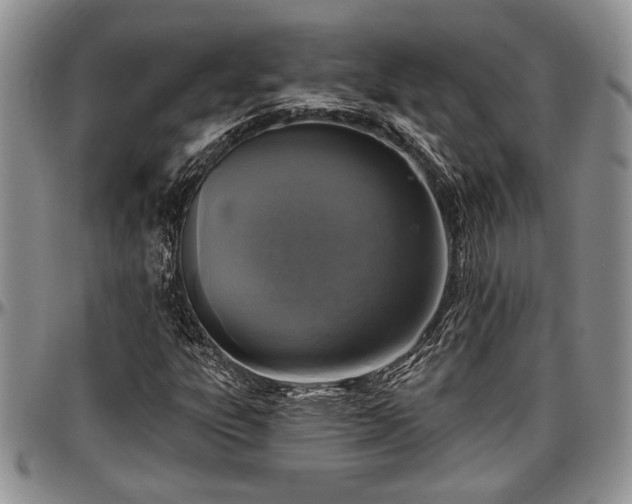 X0000097491303200802291422