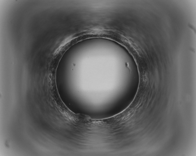 X0000097491304200802291422