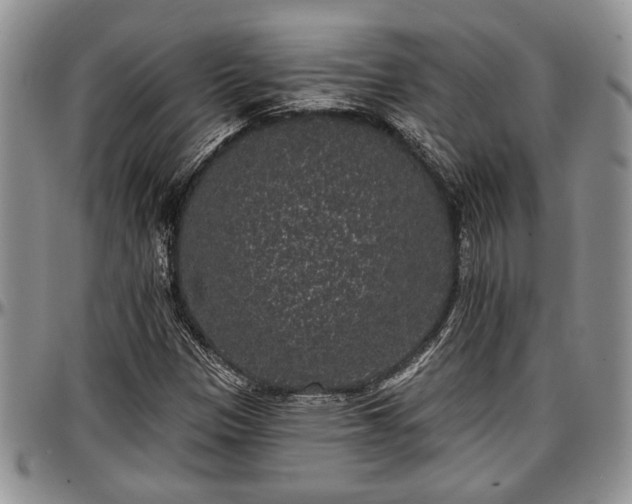 X0000097491305200802291422