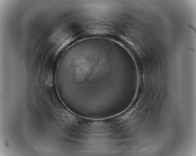 X0000097491306200802291422