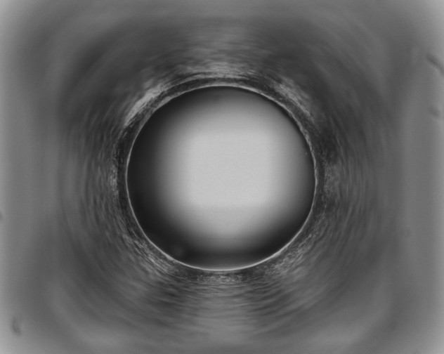 X0000097491307200802291422