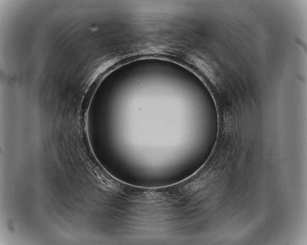 X0000097491308200802291422