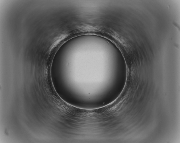 X0000097491309200802291422