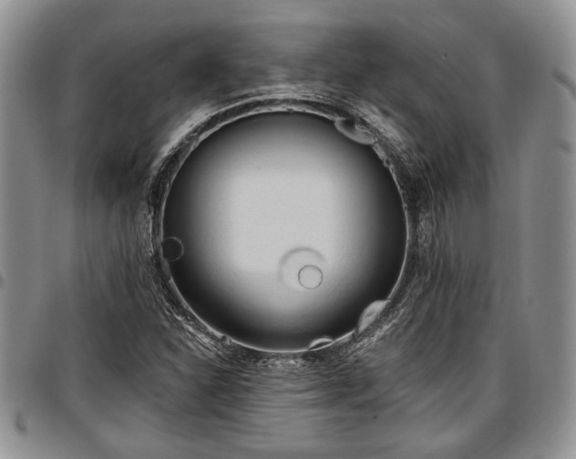 X0000097491310200802291422