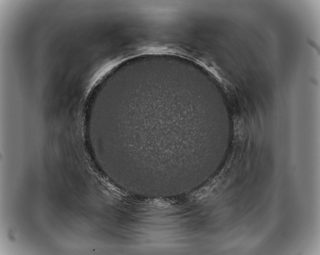 X0000097491311200802291422