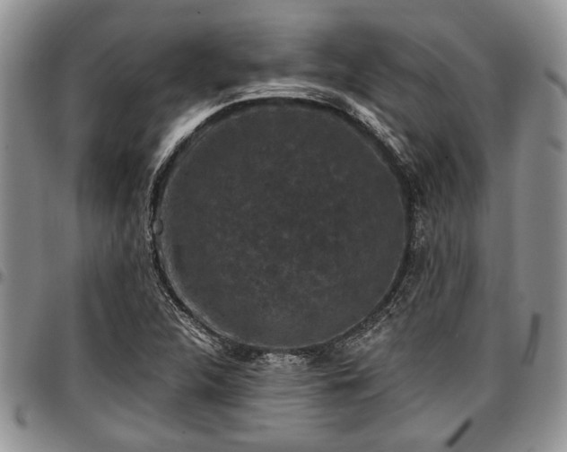 X0000097491312200802291422