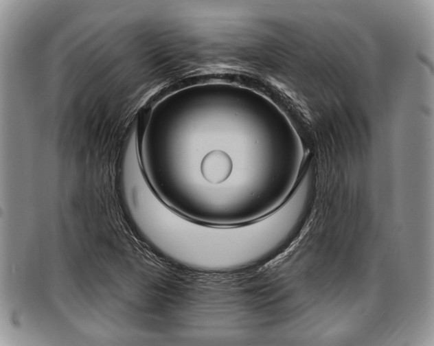 X0000097491313200802291422