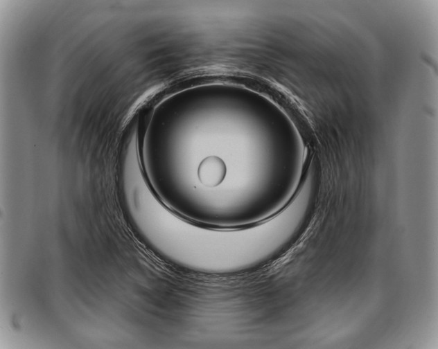 X0000097491314200802291422