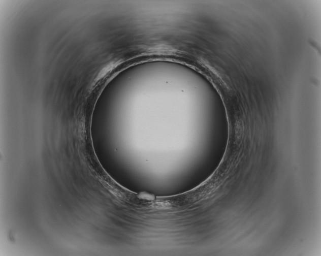 X0000097491315200802291422