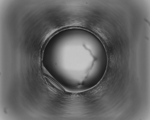 X0000097491316200802291422