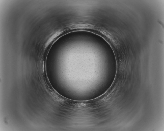 X0000097491317200802291422