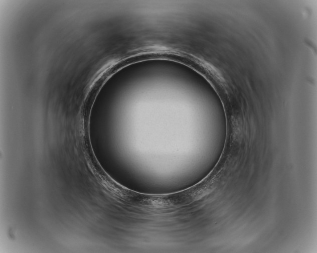 X0000097491318200802291422