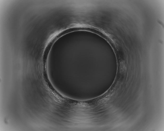 X0000097491319200802291422